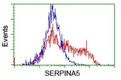 Flow Cytometry: Serpin A5/Protein C Inhibitor Antibody (OTI1C4) - Azide and BSA Free [NBP2-74100]