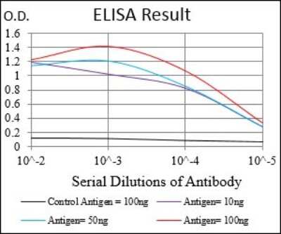ELISA: Serpin A7/TBG Antibody (1C3H11) - BSA Free [NBP2-37323]