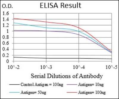 ELISA: Serpin A7/TBG Antibody (5B11E9) - BSA Free [NBP2-37322]