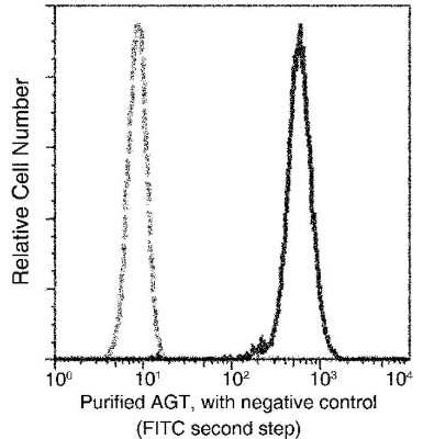 Flow Cytometry: Serpin A8/Angiotensinogen Antibody (1) [NBP2-89736]