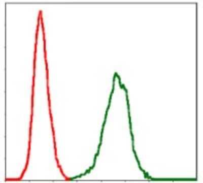 Flow Cytometry: Serpin E1/PAI-1 Antibody (1D5) - BSA Free [NBP2-37532]