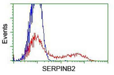 Flow Cytometry: SerpinB2 Antibody (OTI1G3) [NBP2-01492]