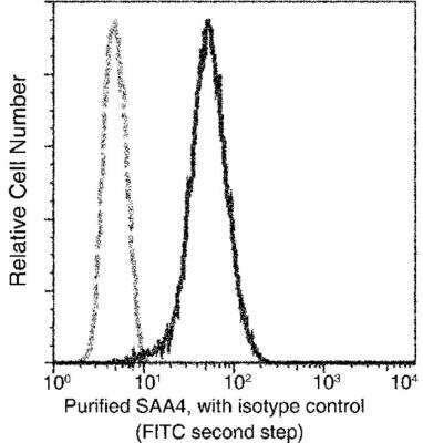 Flow Cytometry: Serum Amyloid A4 Antibody (001) [NBP2-89887]