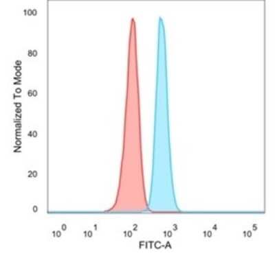 Flow Cytometry: Serum Response Factor SRF Antibody (PCRP-SRF-1F1) [NBP3-13784]