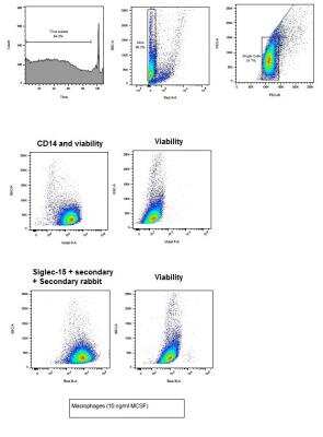 Flow Cytometry: Siglec-15 Antibody - BSA Free [NBP2-41162]