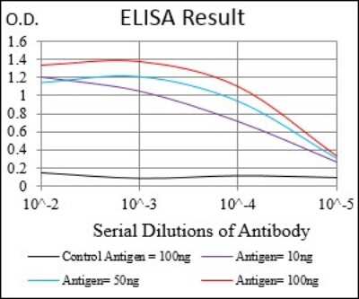 ELISA: Siglec-2/CD22 Antibody (1A3A11) - BSA Free [NBP2-37328]