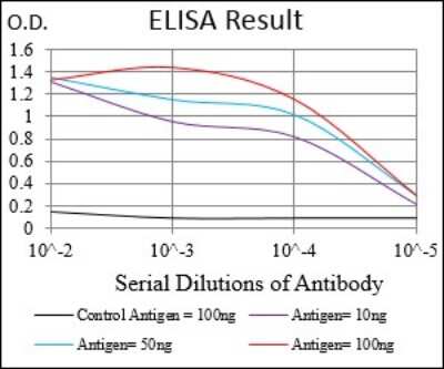 ELISA: Siglec-2/CD22 Antibody (2H1C4) - BSA Free [NBP2-37327]