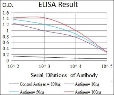 ELISA: Siglec-3/CD33 Antibody (2C6B7) - BSA Free [NBP2-37388]