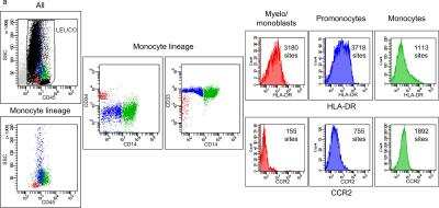 Flow Cytometry: Siglec-3/CD33 Antibody (WM53) - Azide and BSA Free [NBP2-34511]