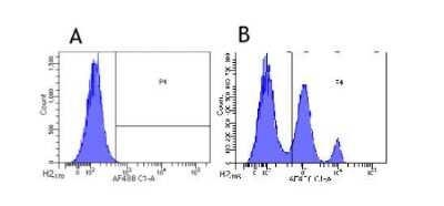 Flow Cytometry: Siglec-3/CD33 Antibody (hP67.6 (Gemtuzumab)) - Chimeric - Azide and BSA Free [NBP2-75906]