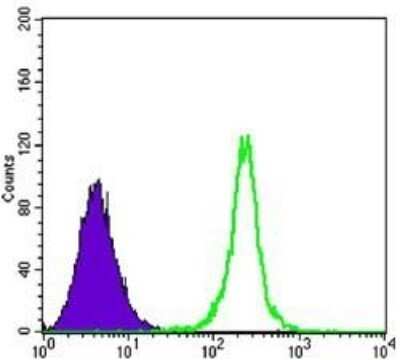 Flow Cytometry: Sirtuin 1/SIRT1 Antibody (1F3) - Azide and BSA Free [NBP2-80949]