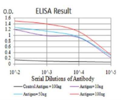 ELISA: Sirtuin 3/SIRT3 Antibody (6B2A1) - BSA Free [NBP2-52563]