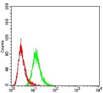 Flow Cytometry: Sirtuin 3/SIRT3 Antibody (6B2A1) - BSA Free [NBP2-52563]