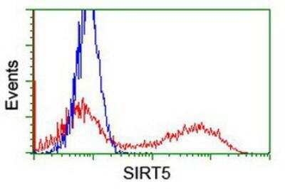 Flow Cytometry: Sirtuin 5/SIRT5 Antibody (OTI2F1) [NBP2-01003]