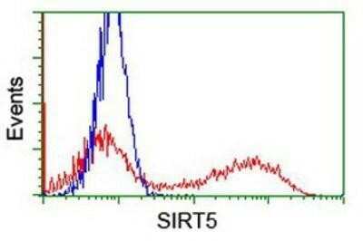 Flow Cytometry: Sirtuin 5/SIRT5 Antibody (OTI2F1) - Azide and BSA Free [NBP2-74199]