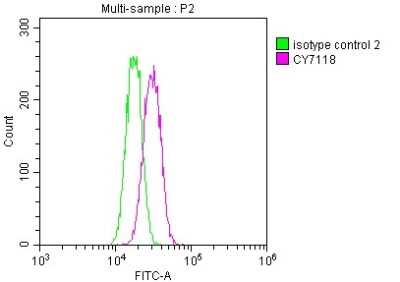Flow Cytometry: Skp2 Antibody (3C11) [NBP3-15197]