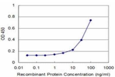 ELISA: Slit3 Antibody (1D11) [H00006586-M07]