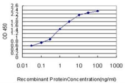 ELISA: Slit3 Antibody (3C5) [H00006586-M04]