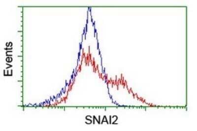 Flow Cytometry: Slug Antibody (OTI2B11) - Azide and BSA Free [NBP2-74235]
