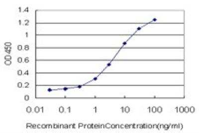 ELISA: Smad3 Antibody (7F3) [H00004088-M02]