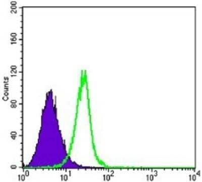 Flow Cytometry: Smad4 Antibody (4G1C6) - BSA Free [NBP1-51646]