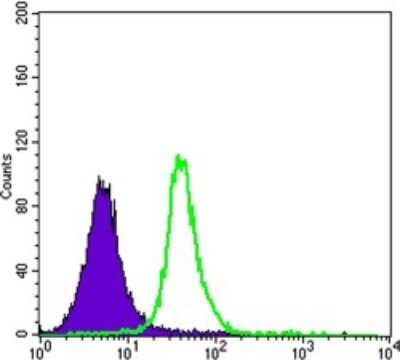 Flow Cytometry: Smad5 Antibody (3H9) - BSA Free [NBP2-37648]