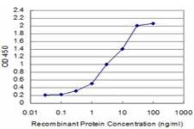 ELISA: Smad5 Antibody (5E12) [H00004090-M08]
