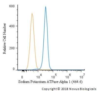 Flow Cytometry: Sodium Potassium ATPase Alpha 1 Antibody (464.6) - Azide and BSA Free [NBP2-80956]