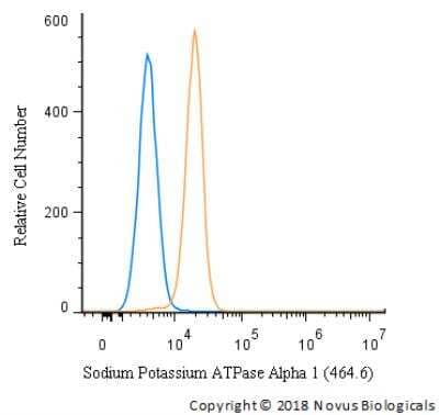 Flow Cytometry: Sodium Potassium ATPase Alpha 1 Antibody (464.6) [NB300-146]