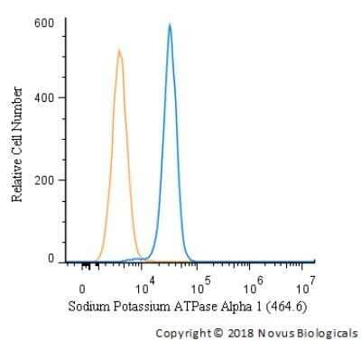 Flow Cytometry: Sodium Potassium ATPase Alpha 1 Antibody (464.6) [NB300-146]