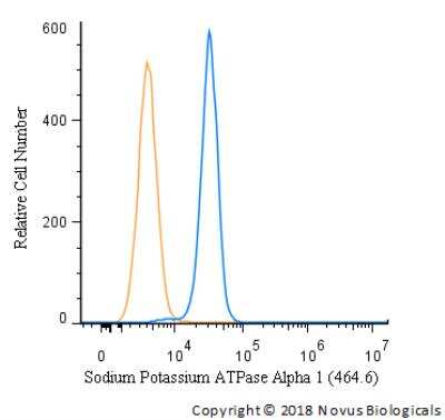 Flow Cytometry: Sodium Potassium ATPase Alpha 1 Antibody (464.6) - BSA Free [NBP2-61137]