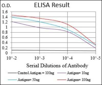ELISA: Somatostatin R3/SSTR3 Antibody (7H8E5) - BSA Free [NBP2-37266]