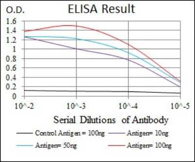 ELISA: Sonic Hedgehog/Shh Antibody (5H4) [NBP2-22126]