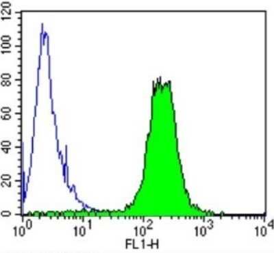 Flow Cytometry: Spectrin beta 1 Antibody (4C3) [NB300-574]