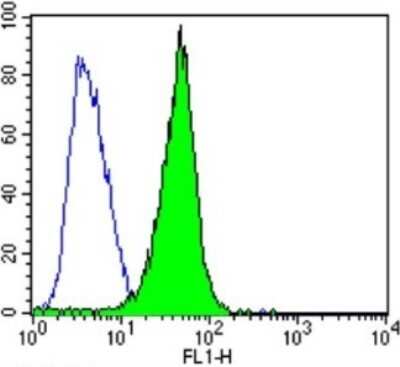Flow Cytometry: Spectrin beta 1 Antibody (4C3) [NB300-574]