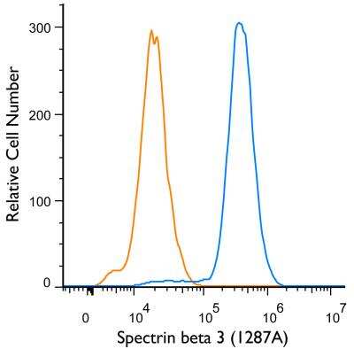 Flow (Intracellular): Spectrin beta 3 Antibody (1287A) - Azide and BSA Free [NBP2-59668]