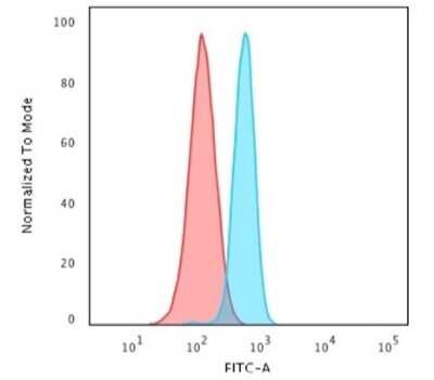 Flow Cytometry: Spectrin beta 3 Antibody (SPTBN2/1582) - Azide and BSA Free [NBP2-54488]