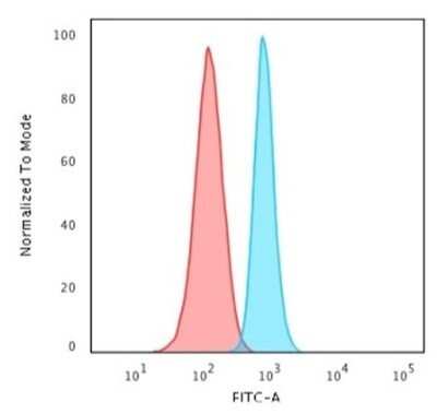 Flow Cytometry: Spectrin beta 3 Antibody (SPTBN2/1583) - Azide and BSA Free [NBP2-54440]