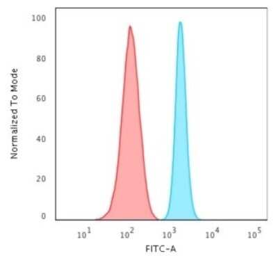 Flow Cytometry: Spectrin beta 3 Antibody (SPTBN2/2887R) [NBP3-07293]