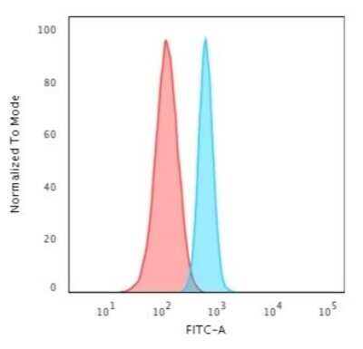 Flow Cytometry: Spectrin beta 3 Antibody (SPTBN2/3142R) - Azide and BSA Free [NBP3-08442]