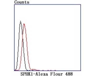 Flow Cytometry: Sphingosine Kinase 1/SPHK1 Antibody (JA31-14) [NBP2-67164]