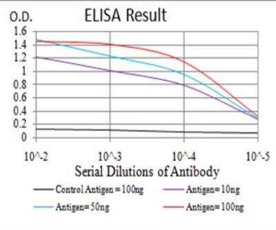 ELISA: Sphingosine Kinase 2/SPHK2 Antibody (3C8D3) - BSA Free [NBP2-52566]