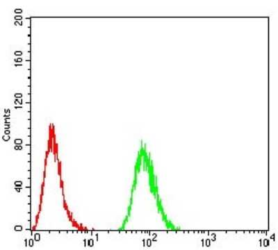 Flow Cytometry: Sphingosine Kinase 2/SPHK2 Antibody (3C8D3) - BSA Free [NBP2-52566]