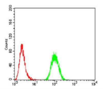 Flow Cytometry: Sphingosine Kinase 2/SPHK2 Antibody (9C5E1) - BSA Free [NBP2-52567]