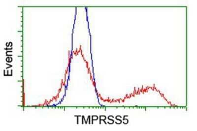Flow Cytometry: Spinesin Antibody (OTI4A11) [NBP2-01126]