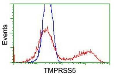 Flow Cytometry: Spinesin Antibody (OTI4A11) - Azide and BSA Free [NBP2-74333]