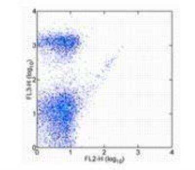 Flow Cytometry: Streptavidin Native Protein [NBP2-29360]