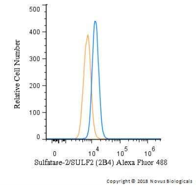 Flow Cytometry: Sulfatase-2/SULF2 Antibody (2B4) - BSA Free [NBP1-36727]