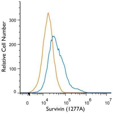 Flow (Intracellular): Survivin Antibody (1277A) - BSA Free [NBP2-59503]