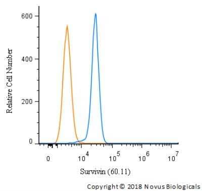 Flow Cytometry: Survivin Antibody (60.11) - Unpurified [NB500-205]